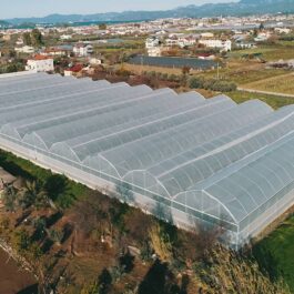 vlcsnap-2022-07-05-10h32m25s228