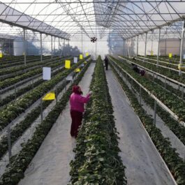 vlcsnap-2022-07-05-10h32m39s618