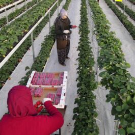 vlcsnap-2022-07-05-10h32m45s746