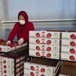 vlcsnap-2022-07-05-10h33m14s104