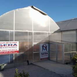 vlcsnap-2022-07-05-10h34m17s270