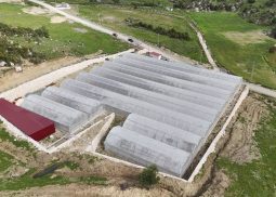 Hatay Biber Serasi