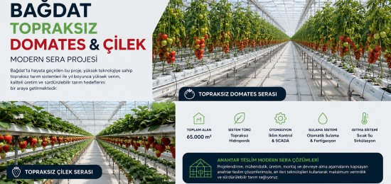 bagdat-irak-topraksiz-domates-cilek-serasi